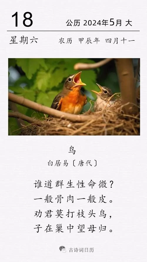 白居易笔下的爱情绝句：“在天愿作比翼鸟”的浪漫与凄美