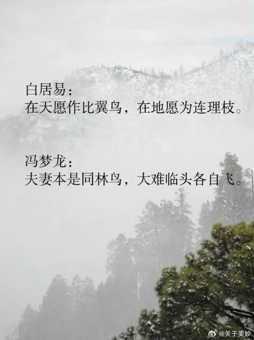 白居易笔下的爱情绝句：“在天愿作比翼鸟”的浪漫与凄美