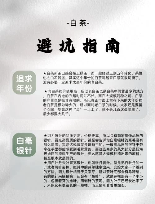 白得纯粹！探秘白色背后的文化与象征意义