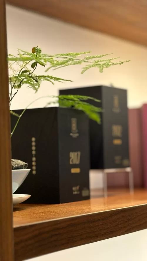 白得纯粹！探秘白色背后的文化与象征意义