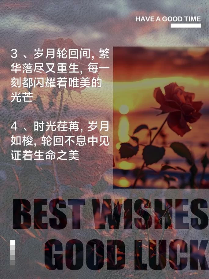 白晶晶经典台词盘点：那些令人难忘的句子