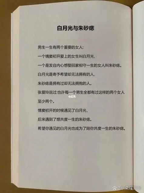 白月光朱砂痣是什么意思？简单易懂的解释和例句
