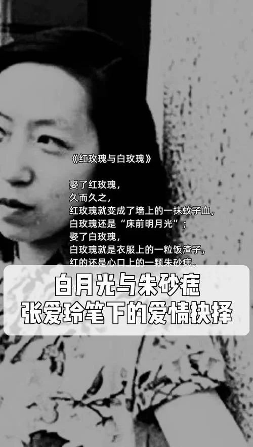 白月光朱砂痣是什么意思？简单易懂的解释和例句