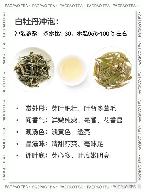 白茶属于哪种茶？小白也能轻松学会辨别茶叶种类