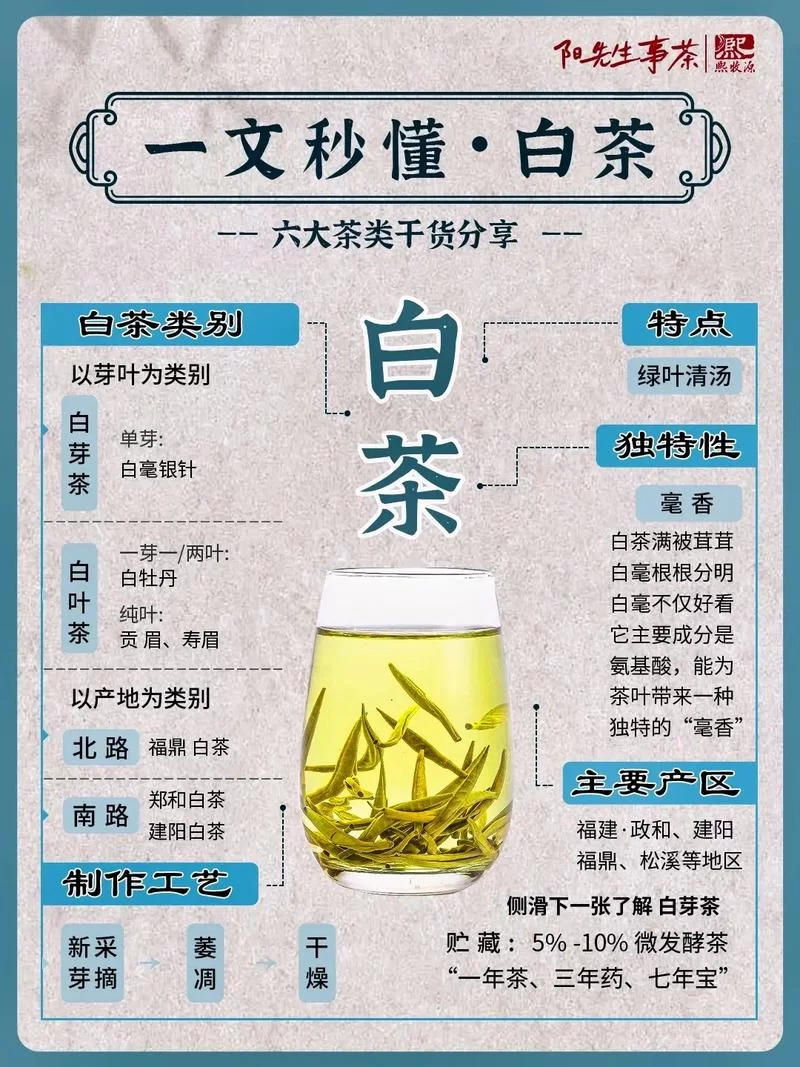 白茶属于哪种茶？小白也能轻松学会辨别茶叶种类