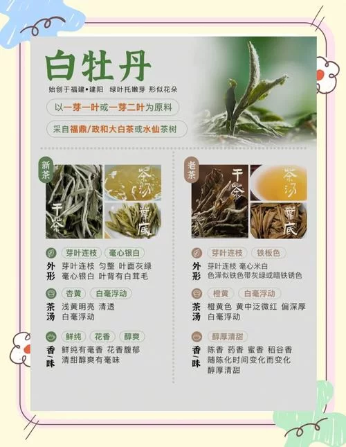 白茶属于哪种茶？小白也能轻松学会辨别茶叶种类