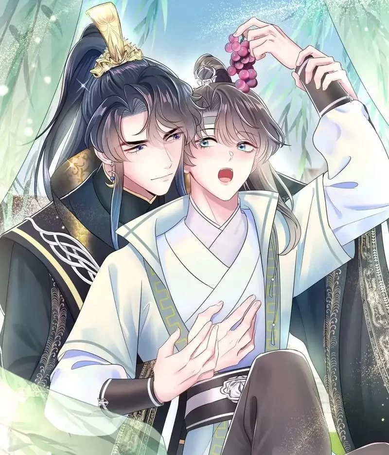 白莲花养成系统攻略：教你玩转人生