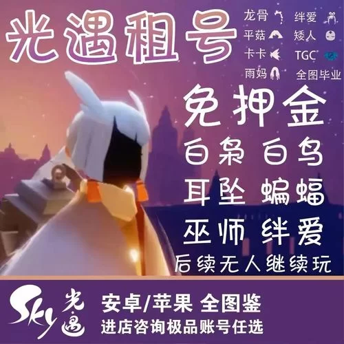 白鸟号大概多少钱？价格范围及影响因素详解