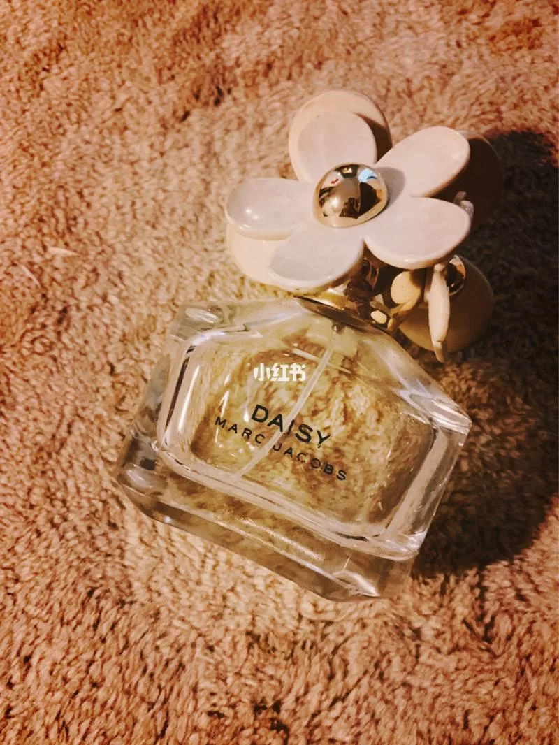 百元就能拥有？高性价比Daisy香水推荐