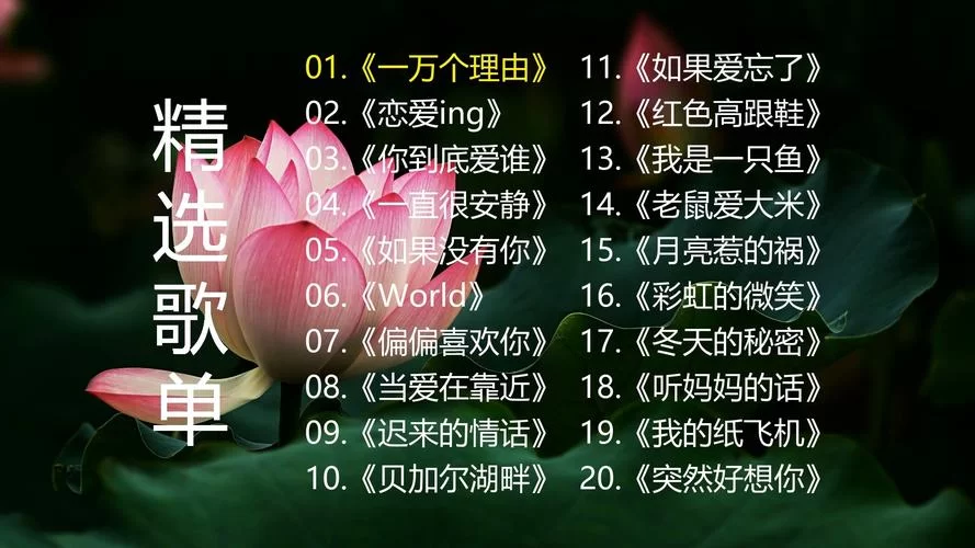百听不厌：I Need Your Love歌曲推荐及解读