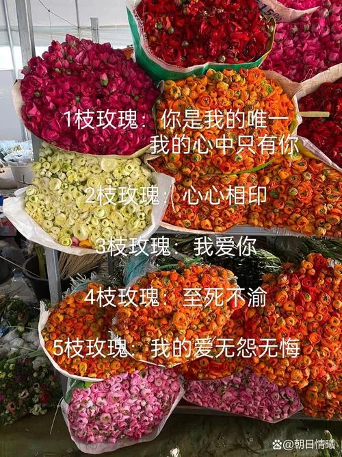 百度SEO：簇拥烈日的花表达的情感及象征意义