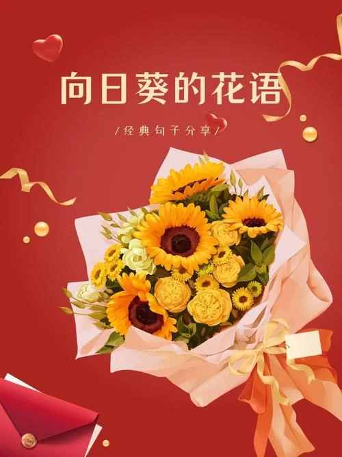 百度SEO：簇拥烈日的花表达的情感及象征意义