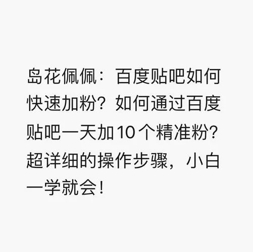 百度提取码是什么？新手小白快速上手指南