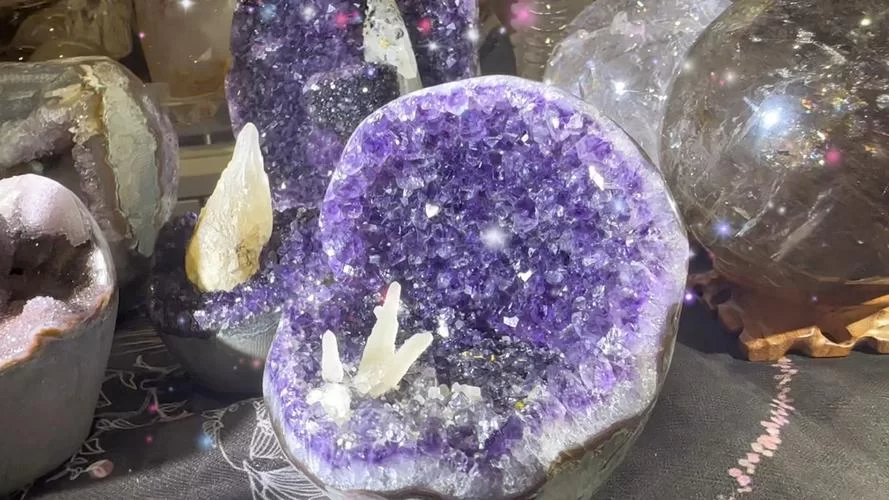 盆栽魔幻紫水晶：打造梦幻花园的绝佳选择