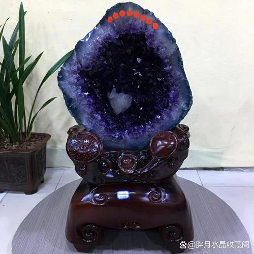 盆栽魔幻紫水晶：打造梦幻花园的绝佳选择