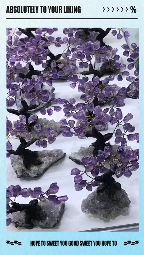 盆栽魔幻紫水晶：打造梦幻花园的绝佳选择