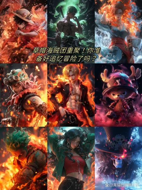 盘点海贼王草帽海贼团成员：冒险旅程与伙伴情谊