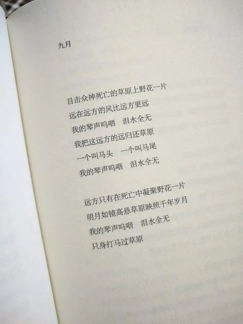 目击众神死亡的草原上野花一片：感受诗歌中生命的顽强与死亡的沉重