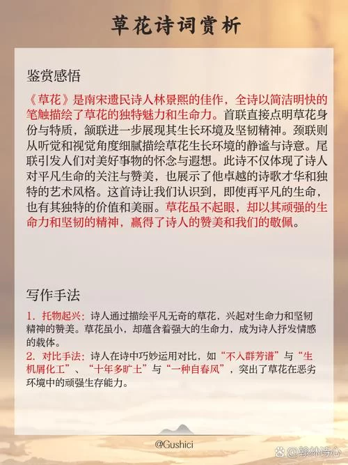 目击众神死亡的草原上野花一片：感受诗歌中生命的顽强与死亡的沉重