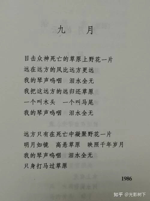 目击众神死亡的草原上野花一片：感受诗歌中生命的顽强与死亡的沉重