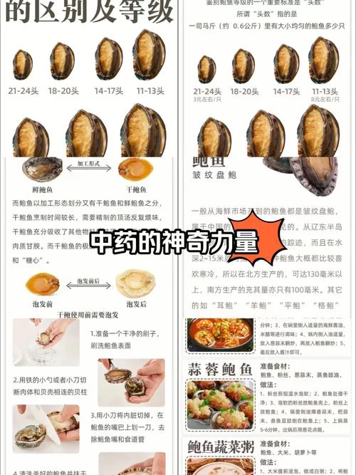 看图识鲍鱼！哪些部位不能吃？详细图示讲解