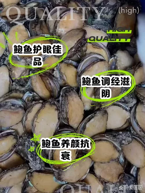 看图识鲍鱼！哪些部位不能吃？详细图示讲解