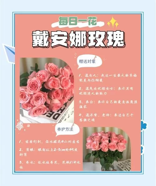 真爱玫瑰：送给最爱的人，表达你最深情的爱意