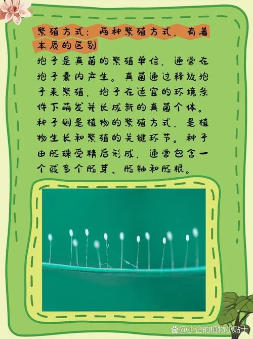 真菌孢子的主要作用是繁殖？还有其他作用吗？