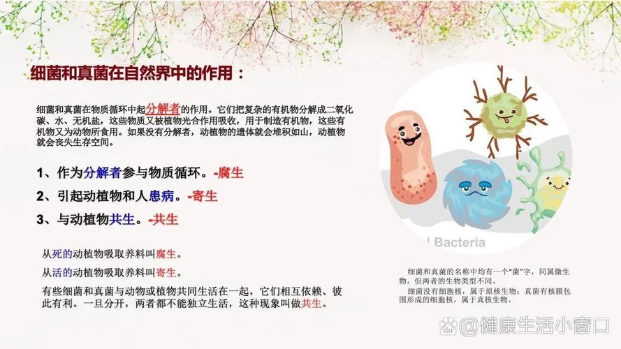真菌孢子的主要作用是繁殖？还有其他作用吗？