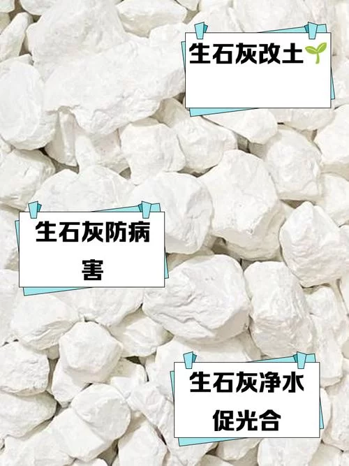 石灰水酸碱性是什么？日常生活中需要注意什么