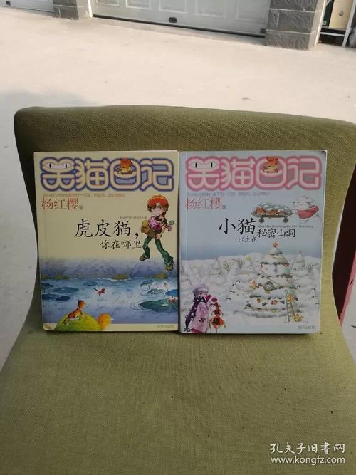 破损的日记：隐藏的秘密与惊人真相