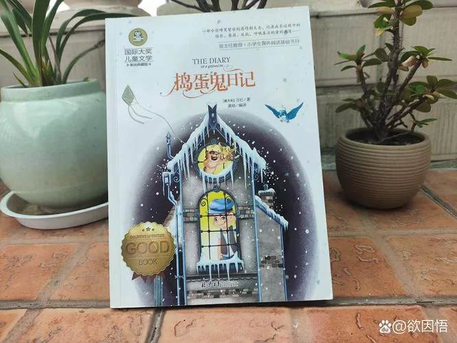 破损的日记：隐藏的秘密与惊人真相