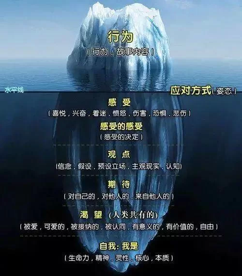 破损的日记：隐藏的秘密与惊人真相