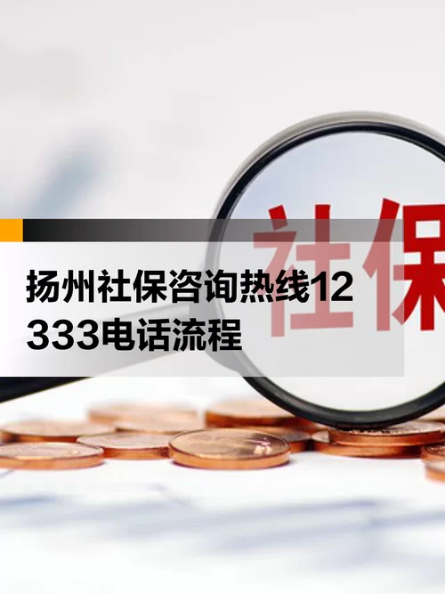社保12333：社保查询、咨询、办理，一站式服务