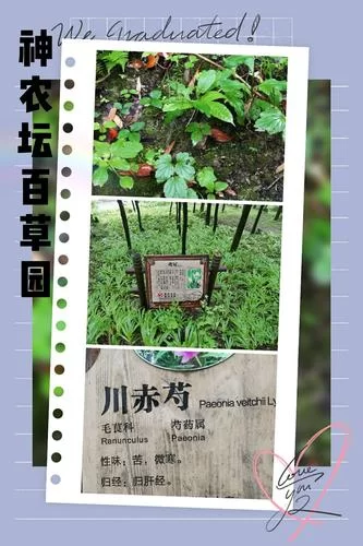 神农百草园赚钱游戏靠谱吗？玩家真实体验告诉你