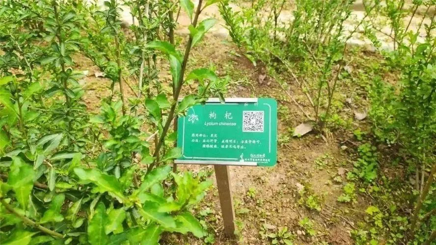 神农百草园赚钱游戏靠谱吗？玩家真实体验告诉你