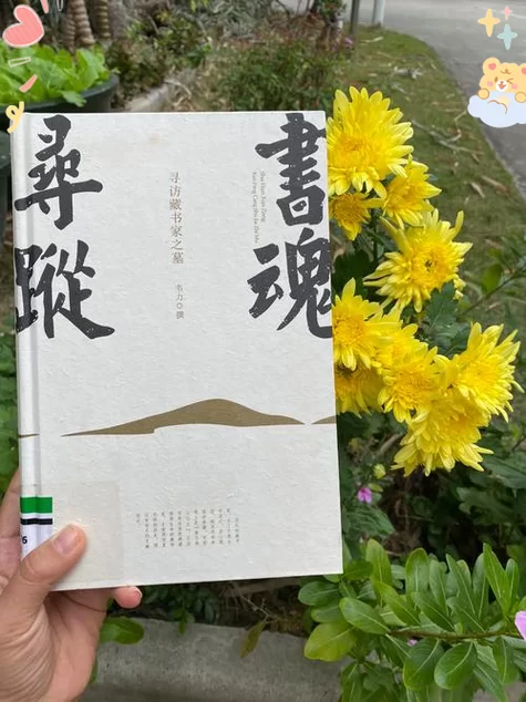 神秘的墨魂笔之踪：寻找失落的文化遗产