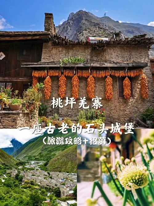 神秘龙之国度：带你走进充满传奇色彩的东方世界