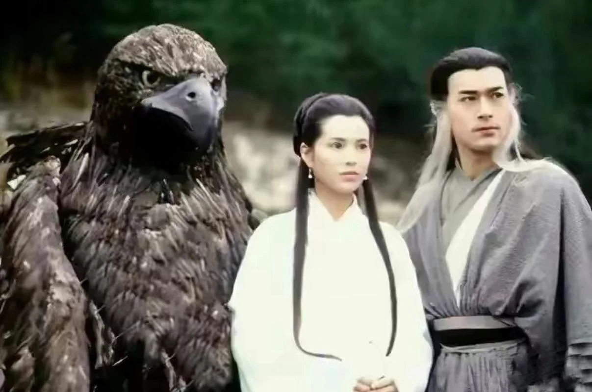 神雕侠侣的生肖揭秘：杨过小龙女是属什么的？