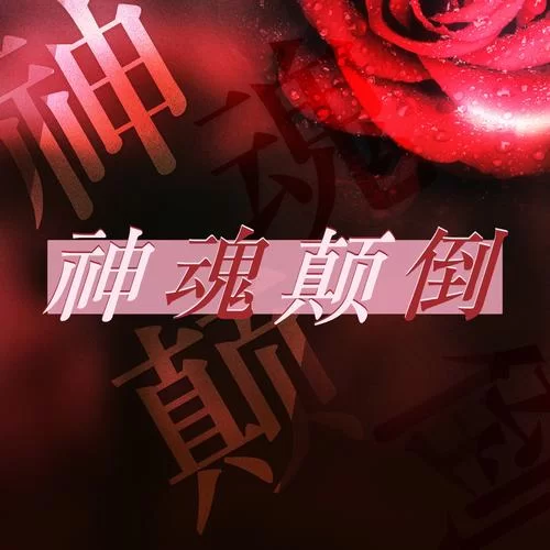 神魂颠倒歌曲歌词深度解读：揭秘歌曲创作背后的灵感