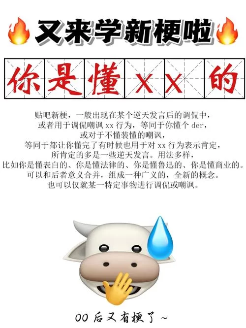 秀儿是你吗？教你轻松get网络流行梗含义
