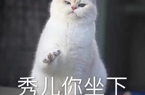 秀儿是你吗？教你轻松get网络流行梗含义