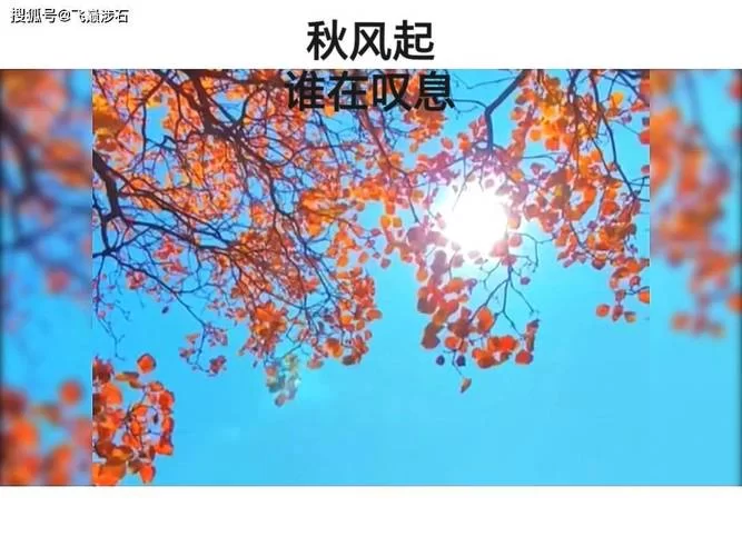 秋风起谁在叹息，这首歌曲的演唱者是谁？
