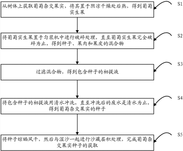种子地址查询：方便快捷的种子信息检索工具