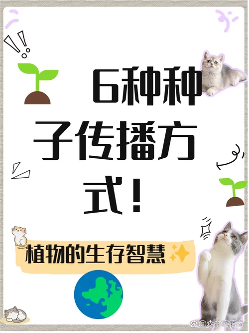 种子地址查询：方便快捷的种子信息检索工具