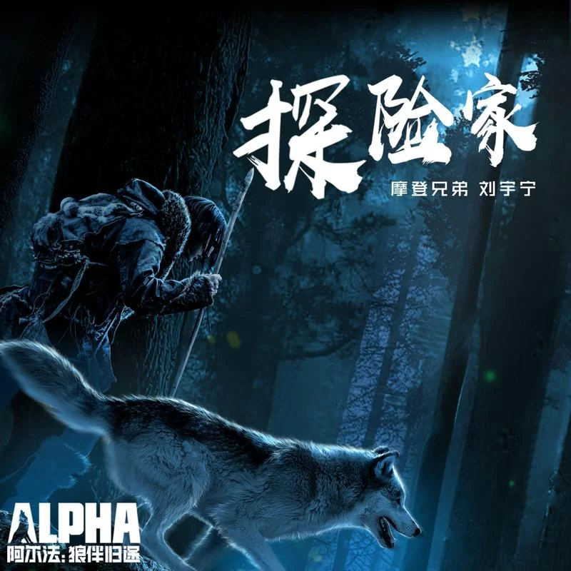 秘境探险：兄弟姐妹齐上阵，探寻神秘古迹！
