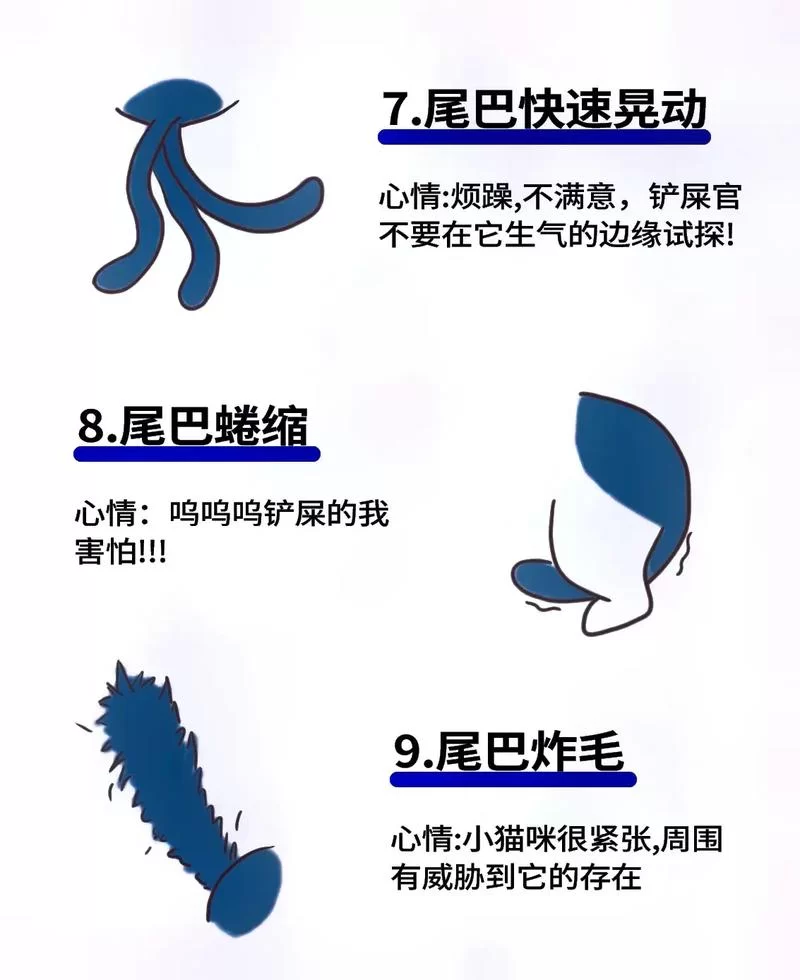 秘密点赞和点赞的区别是什么？哪个更私密？
