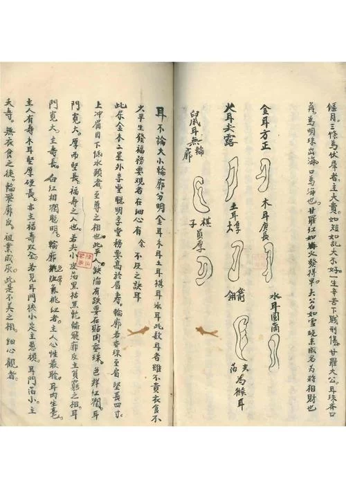 秘籍和秘笈一样吗？深度解析秘籍与秘笈的细微差别