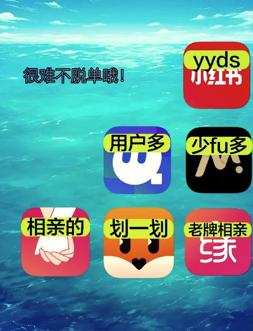 积木交友app：安全可靠的线上交友平台