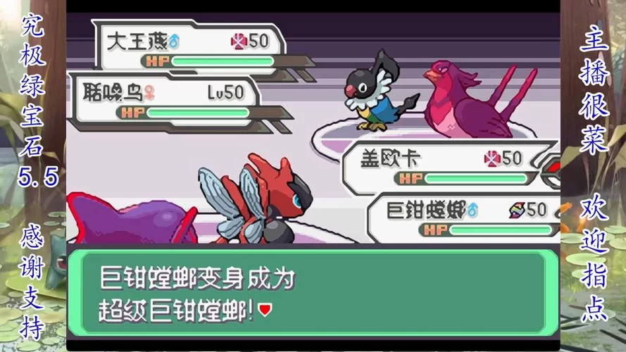 究极绿宝石5攻略完整图文：新手入门到大师之路